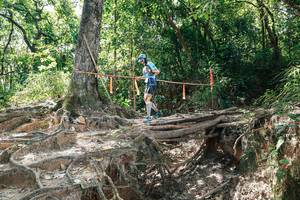 BIB: 
                            <button type="button" onclick="openModal(27800788)" class="btn btn-primary btn-sm float-right btn-popup" data-toggle="modal" data-target=".modal-high-quality">
                        <i class="fas fa-shopping-cart"></i> Add to Cart
                    </button>
                                            <button type="button" onclick="isThisMe(27800788, true)" class="btn btn-success btn-sm float-right btn-popup btn-isme hidden" data-toggle="tooltip" data-placement="bottom" title="นี่คือรูปของคุณใช่ไหม คลิกที่นี่เพื่อเอาเข้าอัลบั้ม">
                        <i class="fas fa-plus"></i> Add to album
                    </button>
                    <button type="button" onclick="isThisMe(27800788, false)" class="btn btn-warning btn-sm float-right btn-popup btn-isnotme hidden">
                        <i class="fas fa-ban"></i> Remove from album
                    </button>